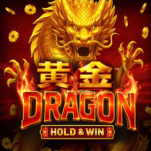 Coins Of Dragon